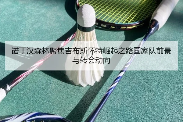 诺丁汉森林聚焦吉布斯怀特崛起之路国家队前景与转会动向
